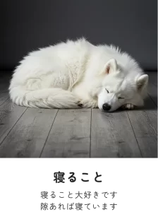 床で寝ている白い犬